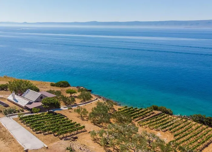 Dom wakacyjny Rural Shala *